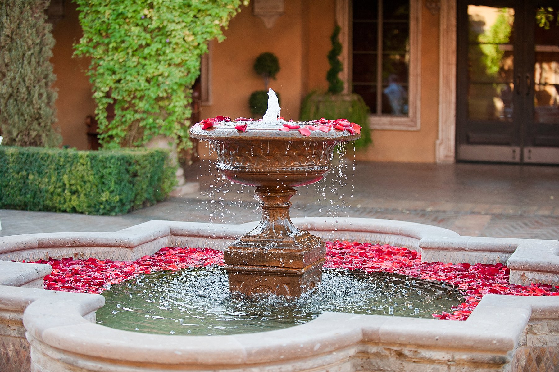 Romantic Villa Siena Wedding Waterfoutain Rose Petals Gilbert Arizona Photo