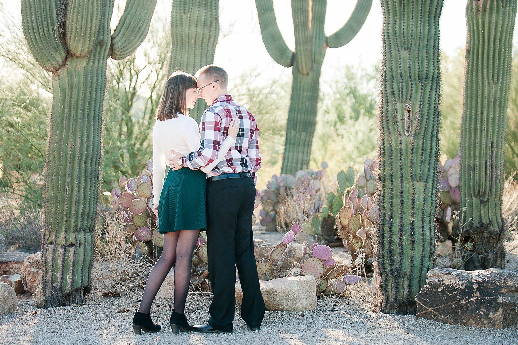 Romantic Anniversary Desert Couple Cactus Gilbert Arizona Photo