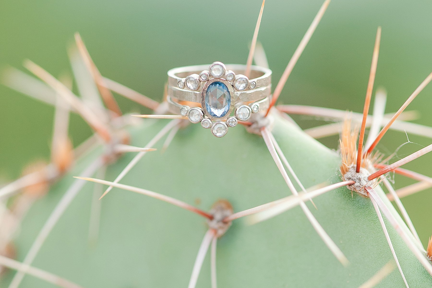 Frank Lloyd Wright Taliesin West Engagement Ring Arizona Photo