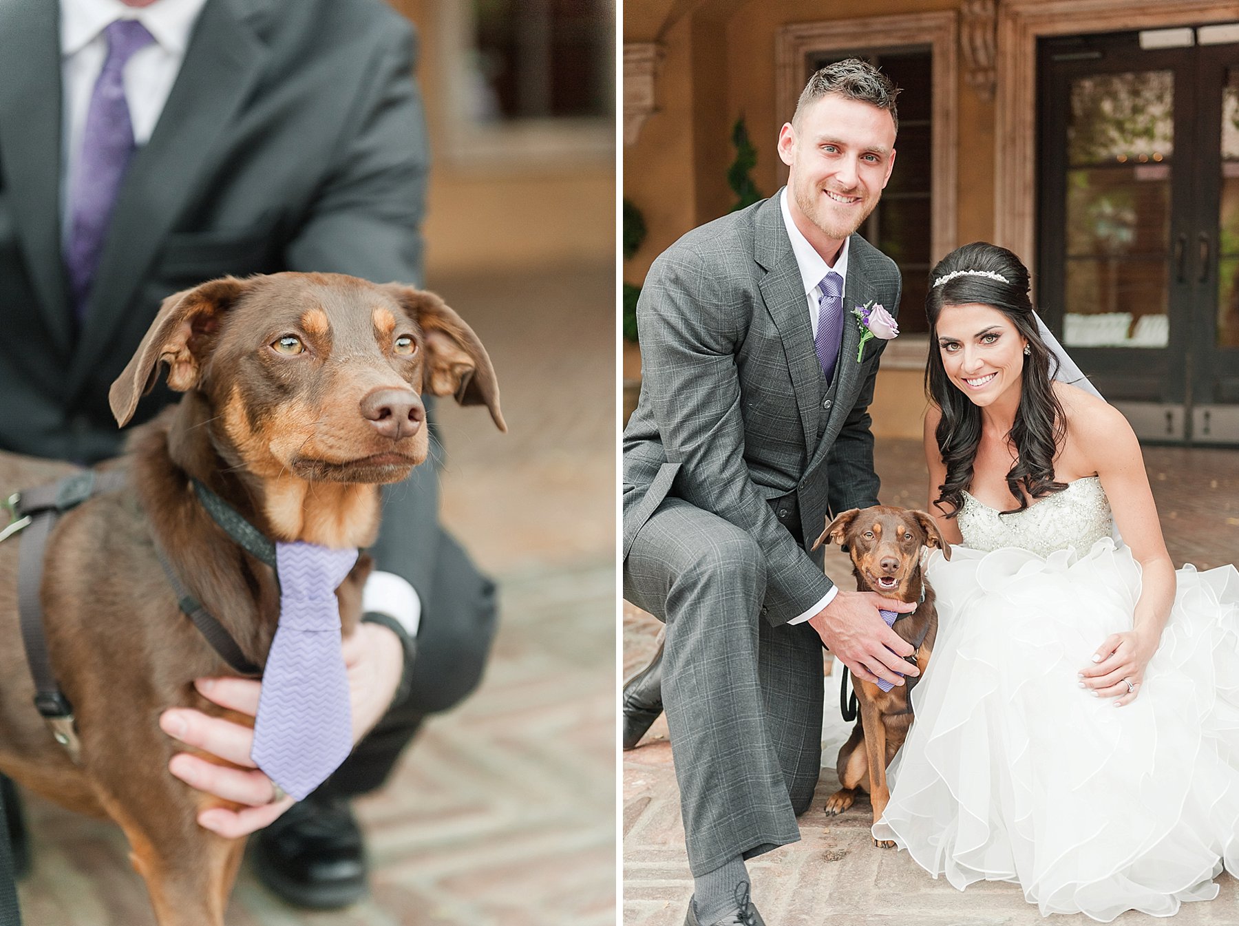 Villa Siena Middlebrooks Dell Wedding Bride Groom with Puppy Phoenix Arizona Photo