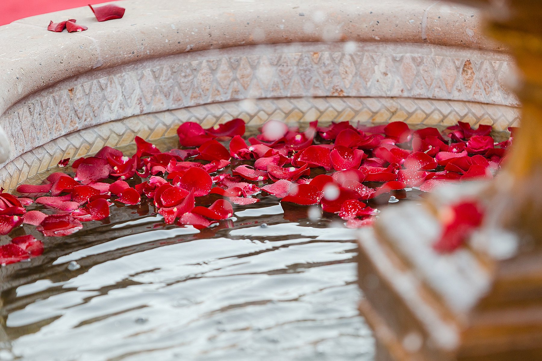 Villa Siena Wedding Ceremony Fountain Floating Petals Photo