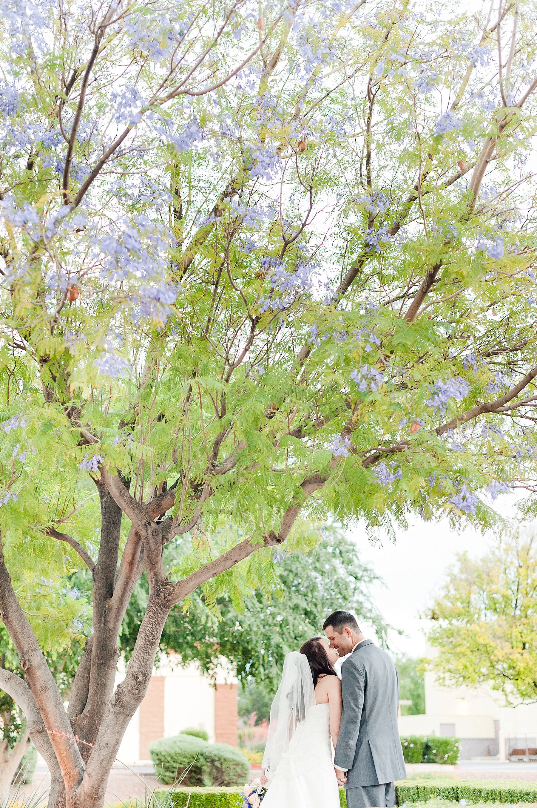 Blue Peach Couple Giggling Under Tree Gilbert AZ Photo