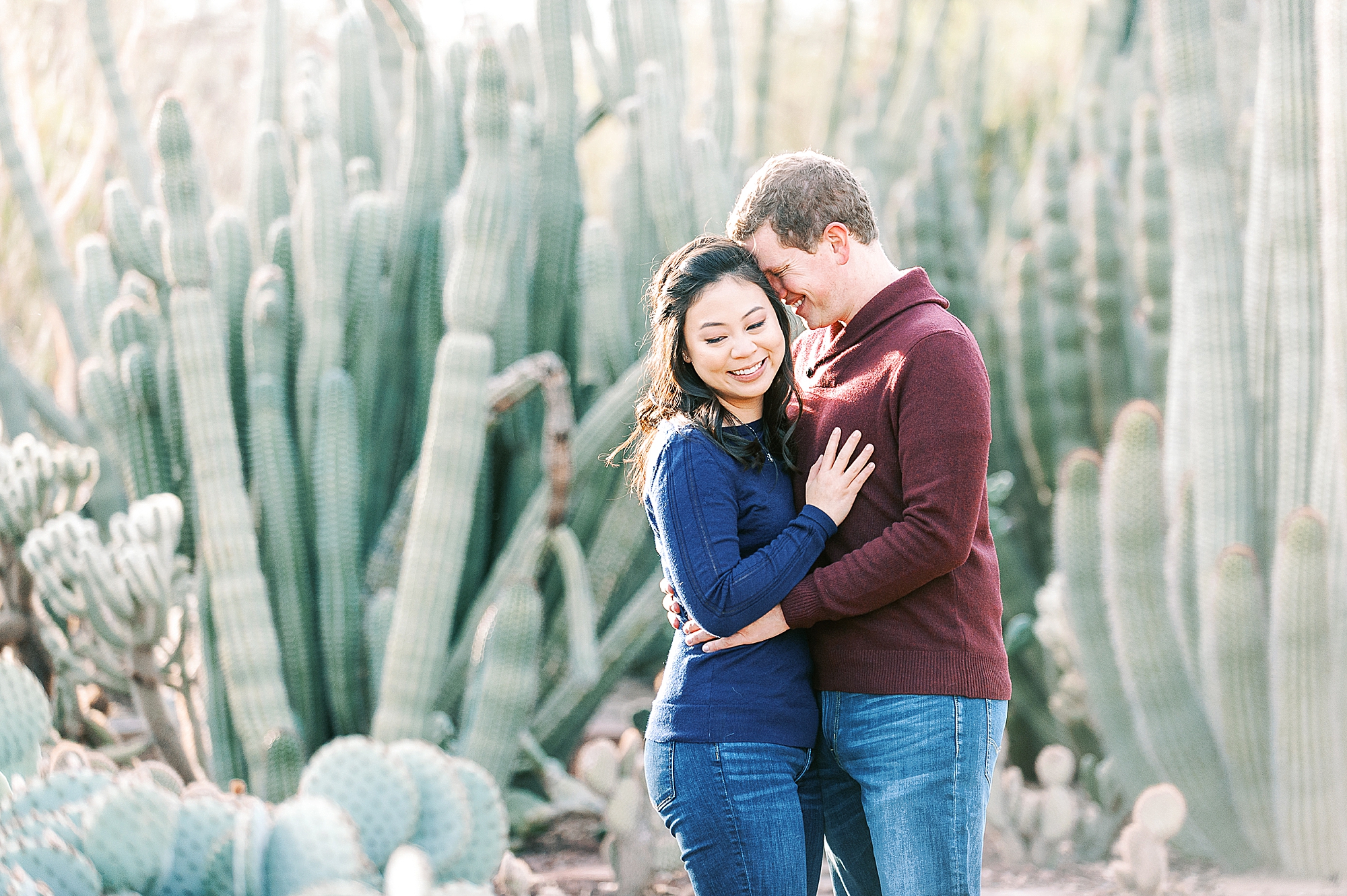 Desert Botanical Garden Photos Phoenix Arizona Wedding Photographers