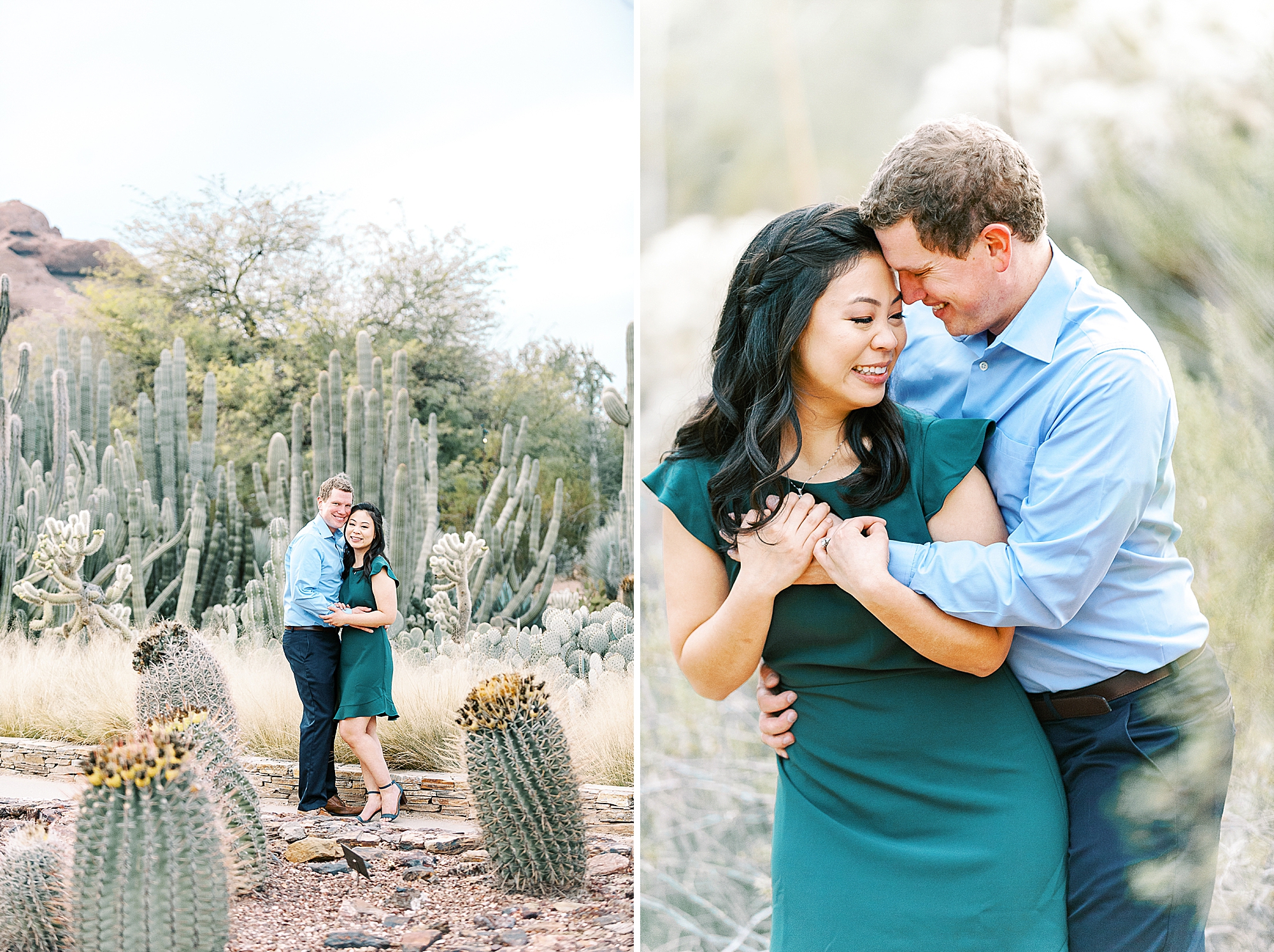 Desert Botanical Garden Photos Phoenix Arizona Wedding Photographers