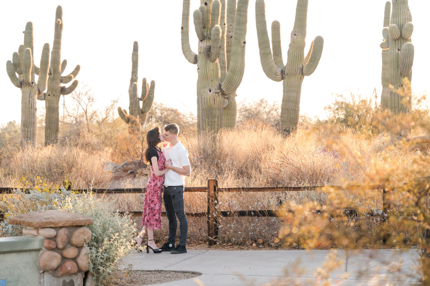 Graceful Engagement Session Desert Botanical Garden Phoenix Wedding Photographer