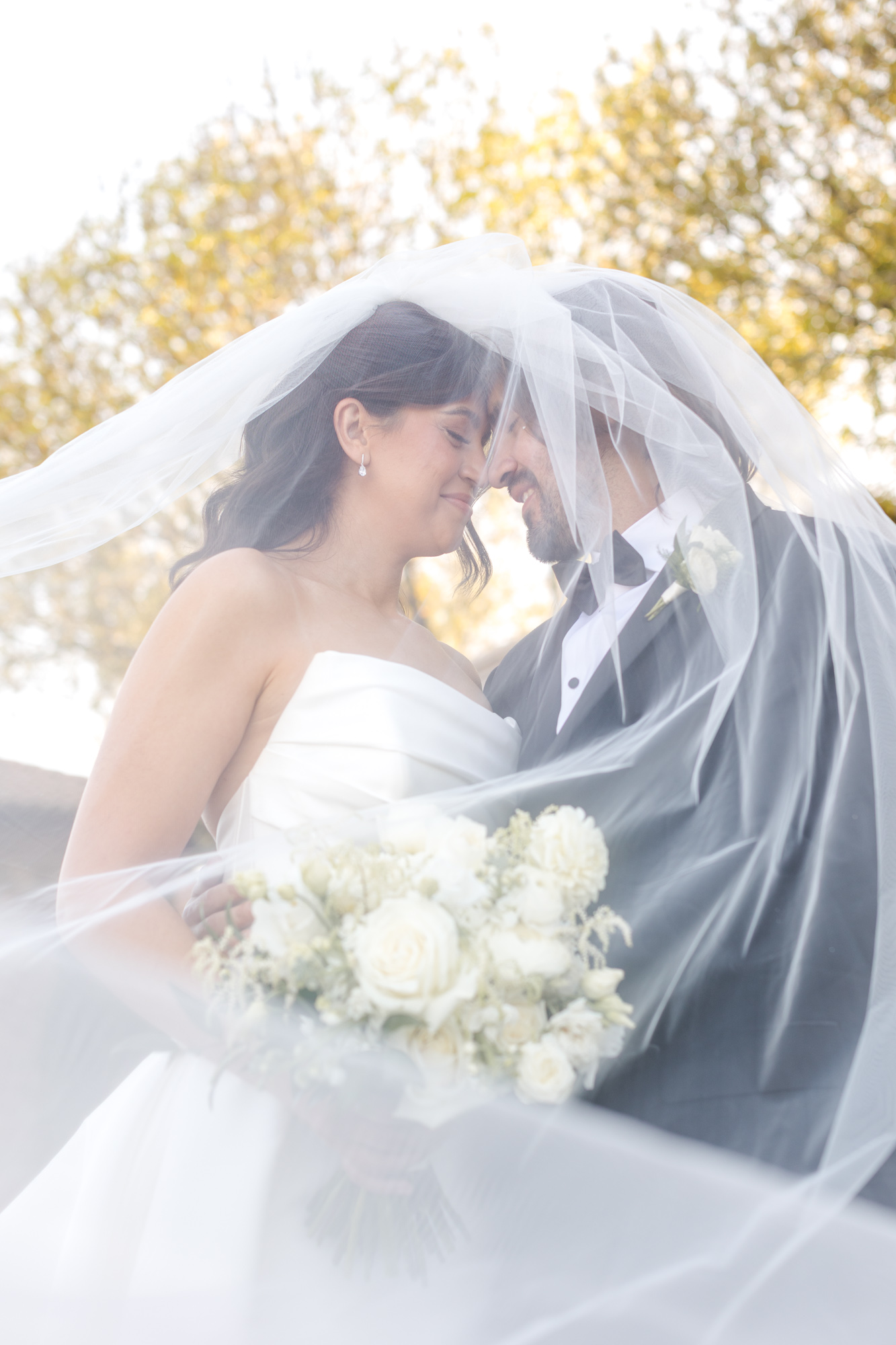 Classic Elegant Celebration Villa Siena Arizona Wedding Photographer 