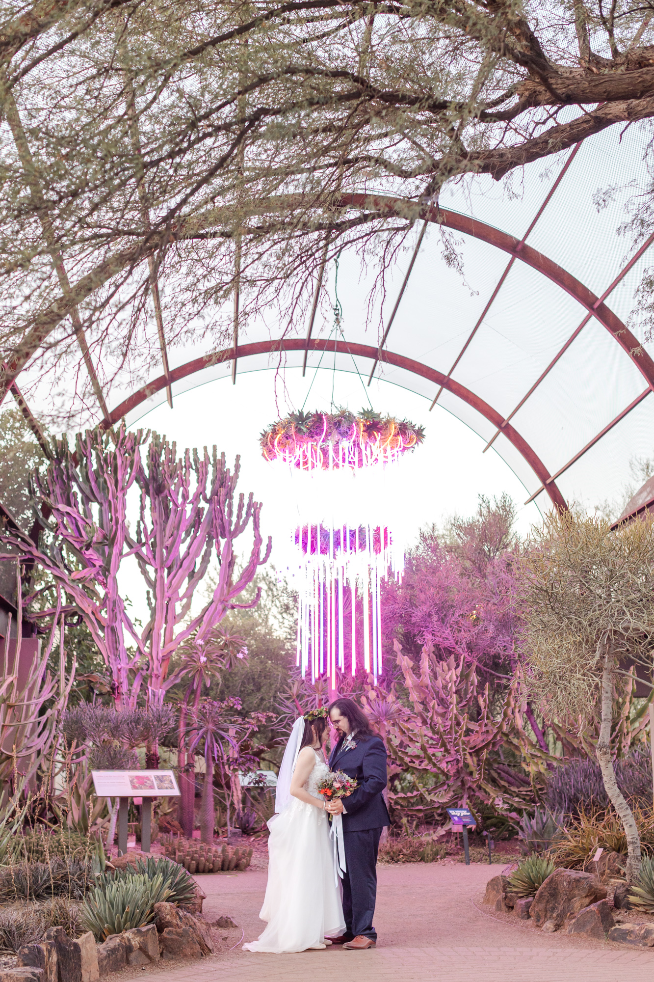 Enchanting Intimate Wedding Desert Botanical Gardens Phoenix Wedding Photographer 